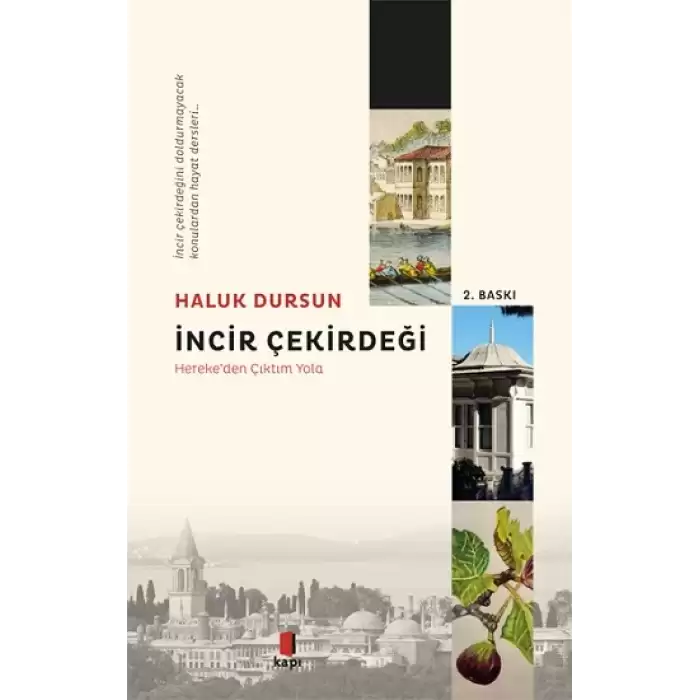 İncir Çekirdeği