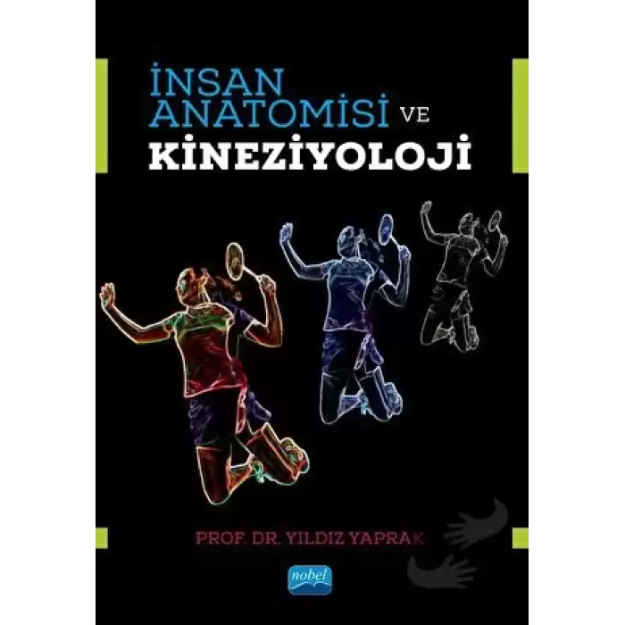 İnsan Anatomisi ve Kineziyoloji