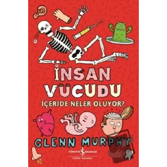 İnsan Vücudu