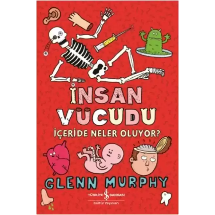 İnsan Vücudu