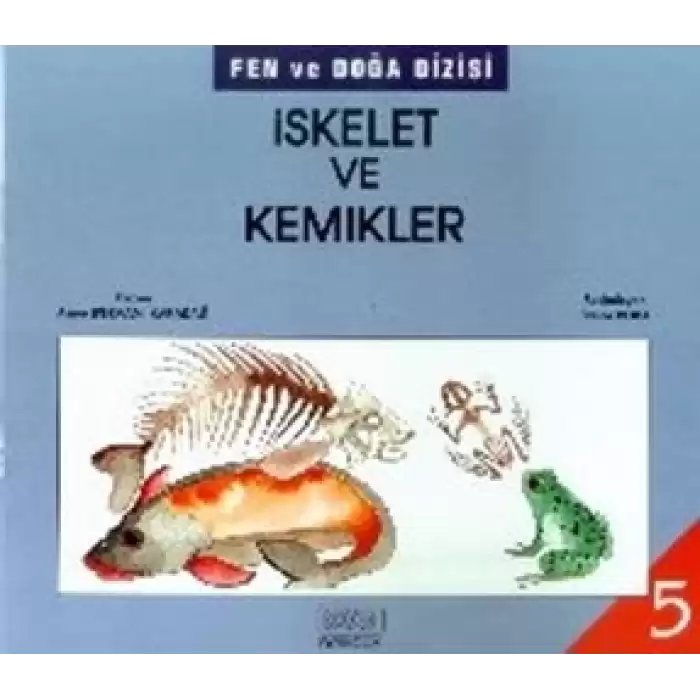 İskelet ve Kemikler