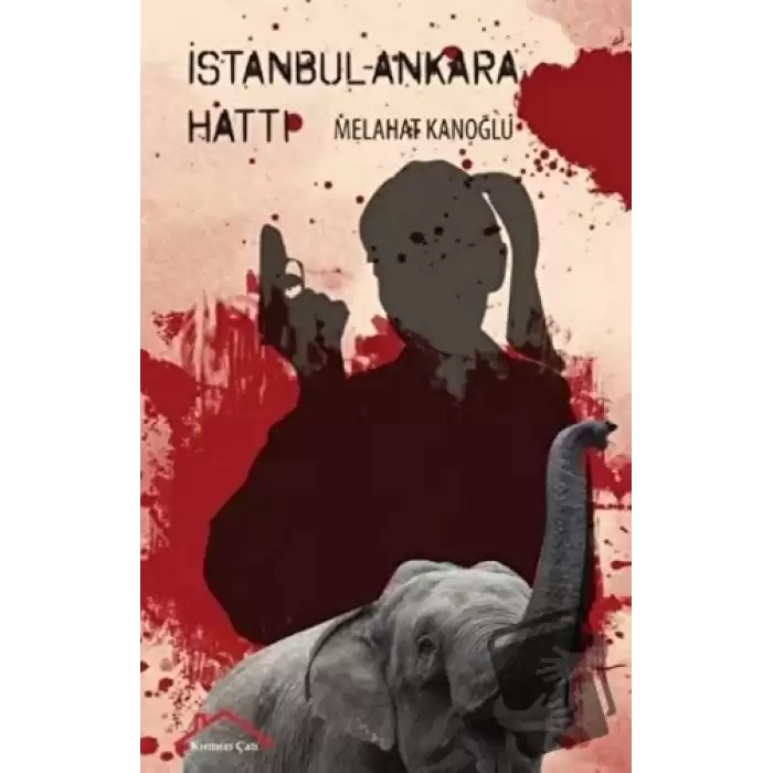 İstanbul - Ankara Hattı