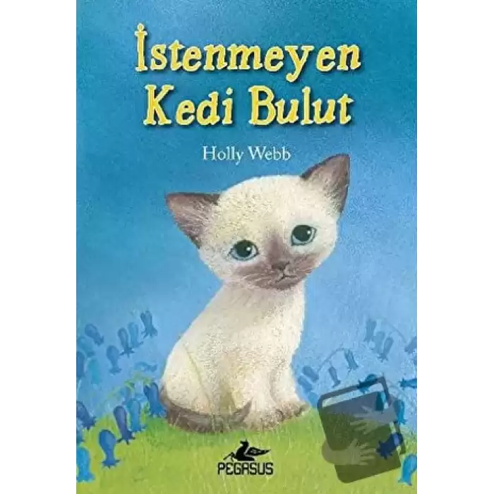 İstenmeyen Kedi Bulut