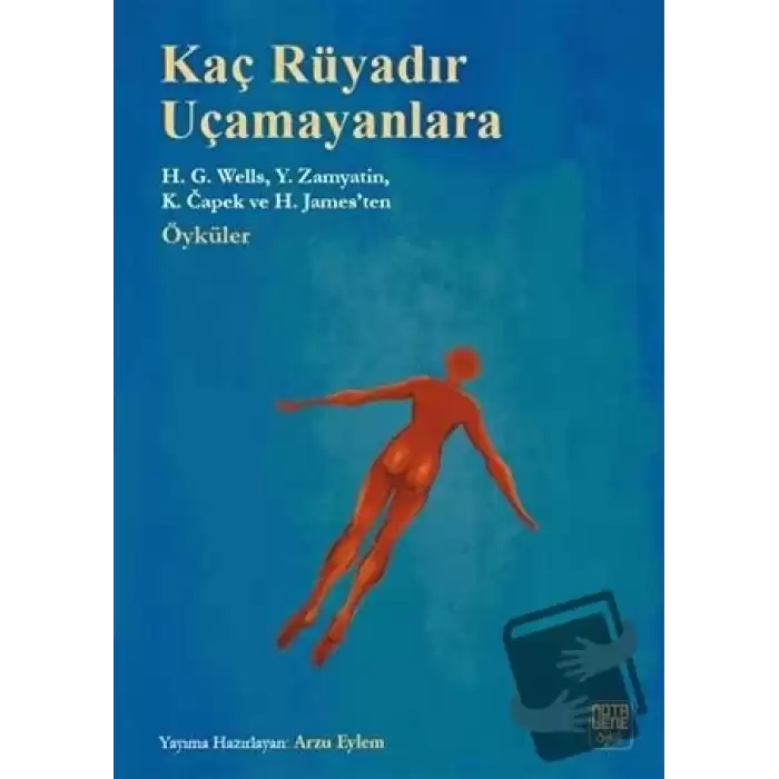 Kaç Rüyadır Uçamayanlara