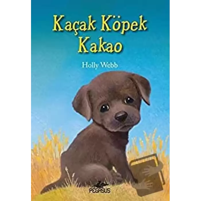 Kaçak Köpek Kakao