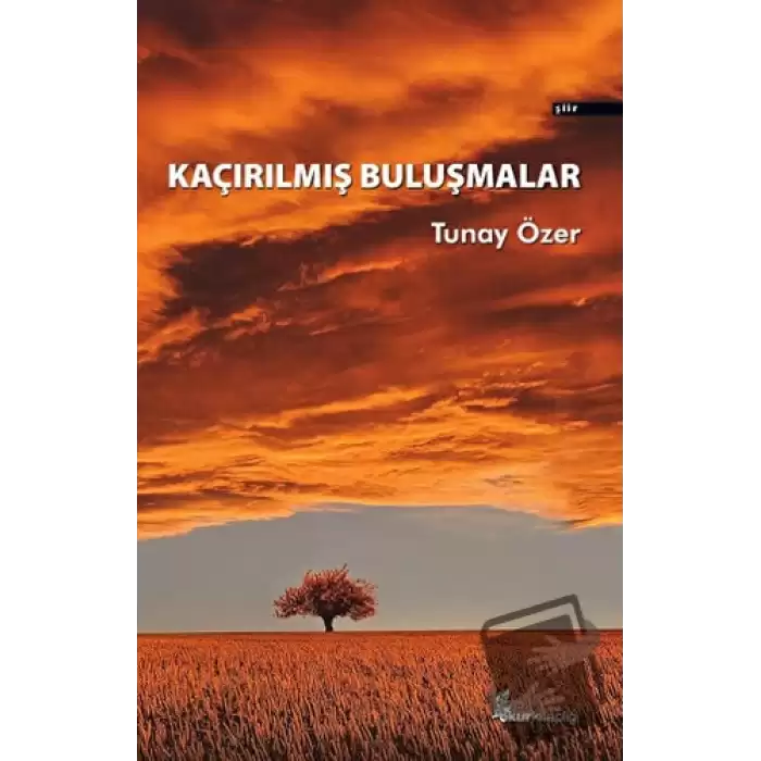 Kaçırılmış Buluşmalar