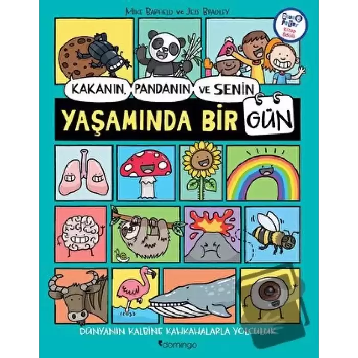 Kakanın, Pandanın ve Senin Yaşamında Bir Gün