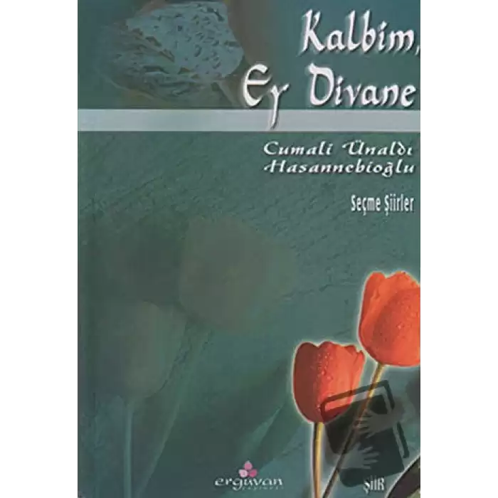 Kalbim, Ey Divane