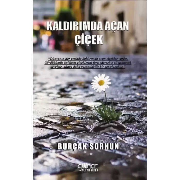 Kaldırımda Açan Çiçek