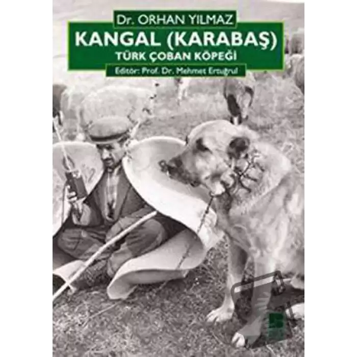 Kangal (Karabaş) Türk Çoban Köpeği