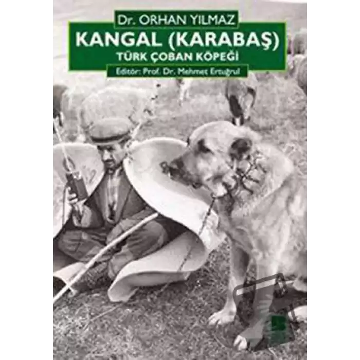 Kangal (Karabaş) Türk Çoban Köpeği