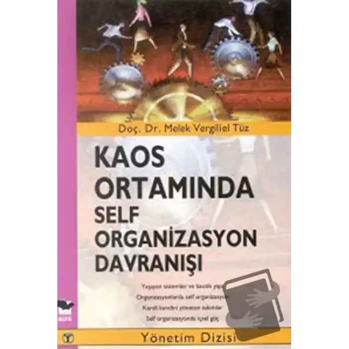 Kaos Ortamında Self Organizasyon Davranışı