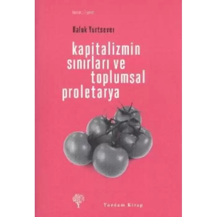 Kapitalizmin Sınırları ve Toplumsal Proletarya