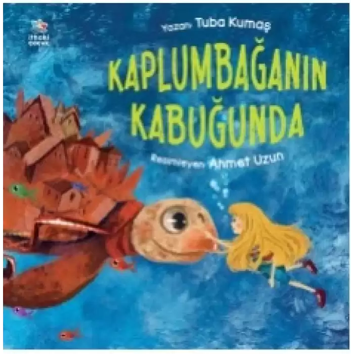 Kaplumbağanın Kabuğunda