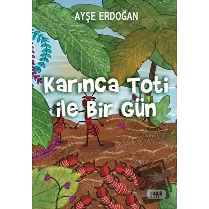 Karınca Toti ile Birgün