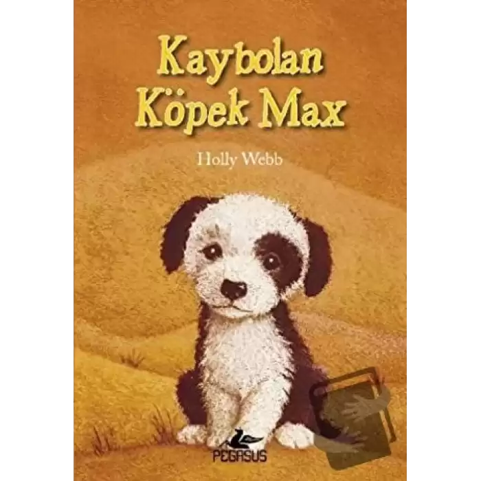 Kaybolan Köpek Max