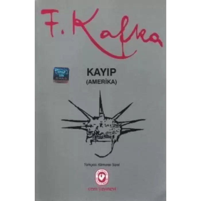 Kayıp (Amerika)