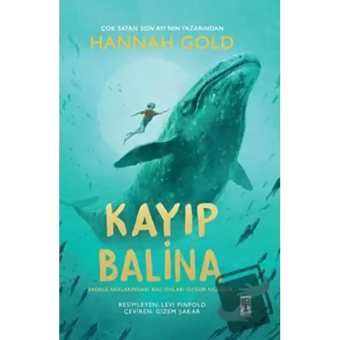 Kayıp Balina