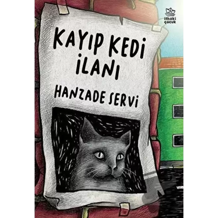 Kayıp Kedi İlanı