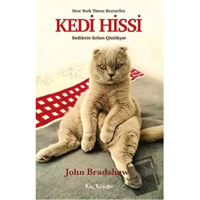 Kedi Hissi