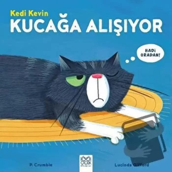 Kedi Kevin Kucağa Alışıyor