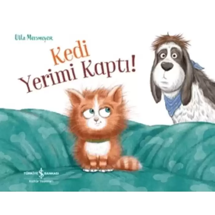 Kedi Yerimi Kaptı!