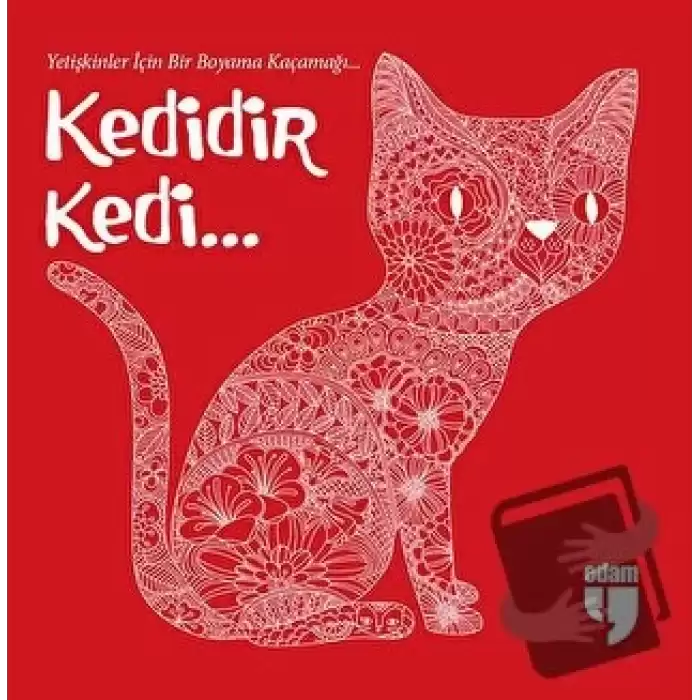 Kedidir Kedi