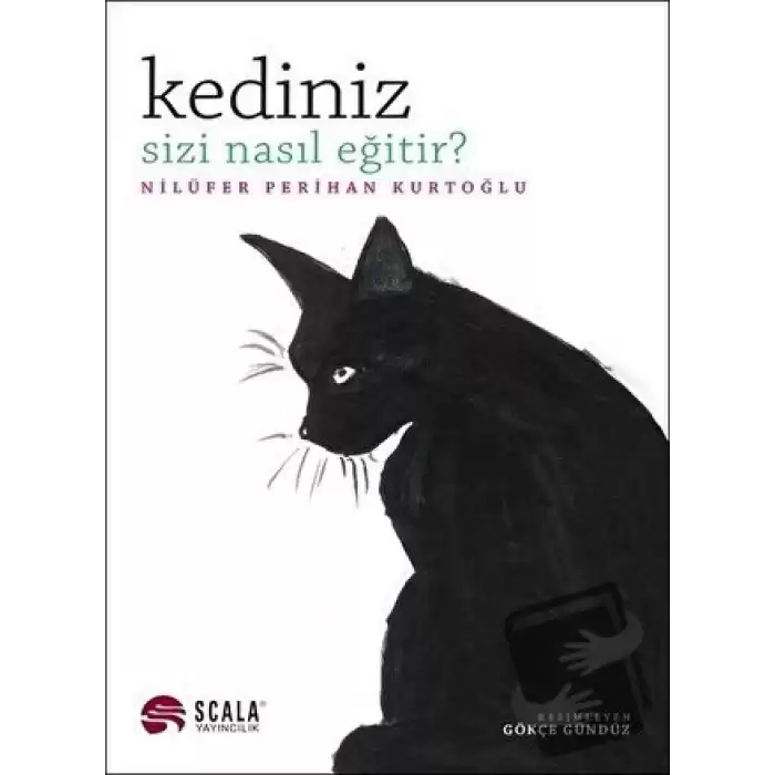 Kediniz Sizi Nasıl Eğitir?