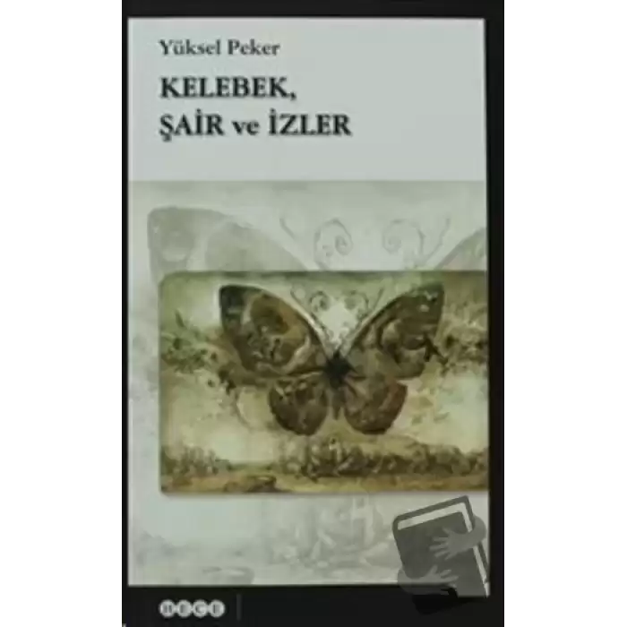 Kelebek, Şair ve İzler