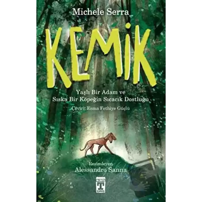 Kemik