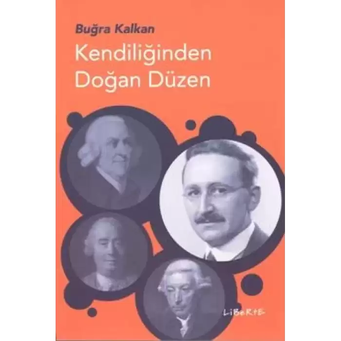 Kendiliğinden Doğan Düzen