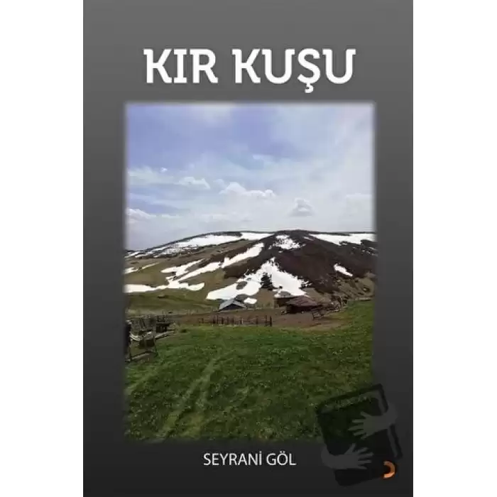 Kır Kuşu