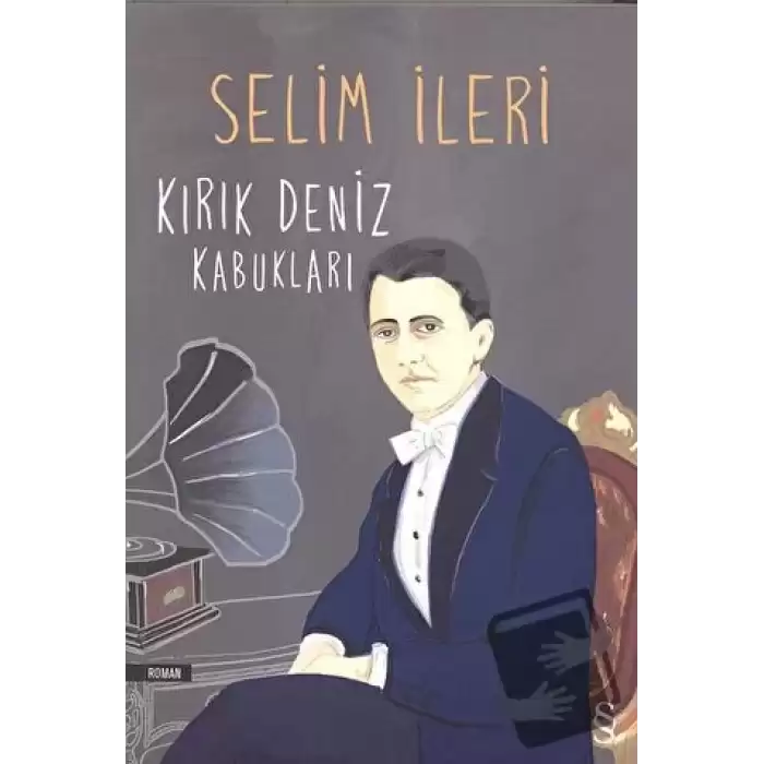 Kırık Deniz Kabukları