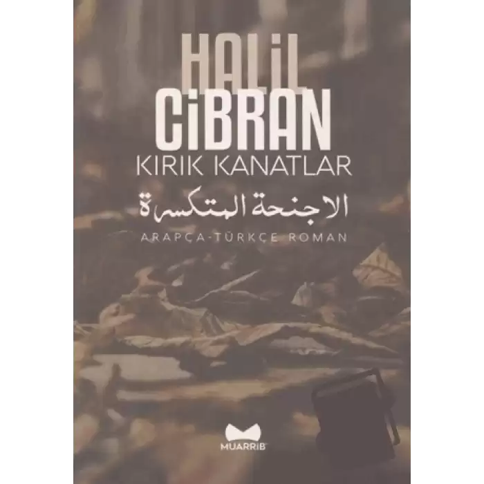 Kırık Kanatlar