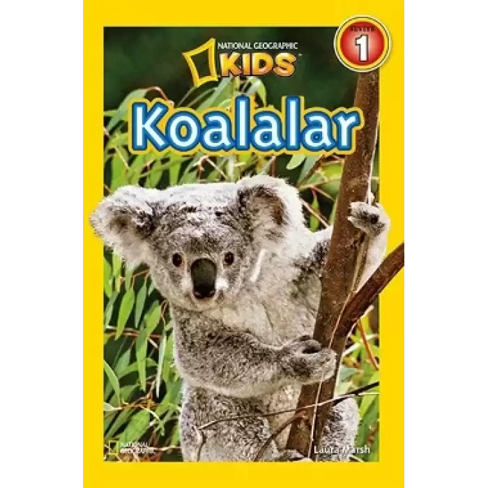 Koalalar