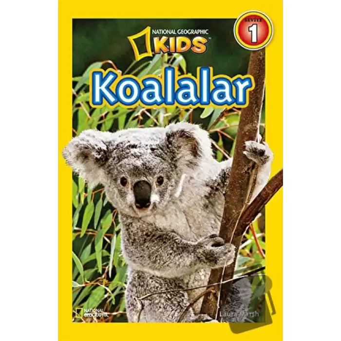 Koalalar - Seviye 1