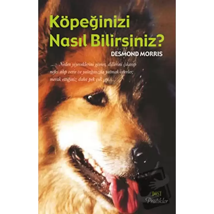 Köpeğinizi Nasıl Bilirsiniz?