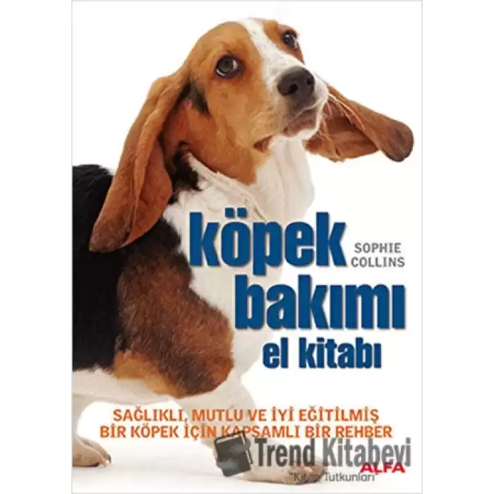 Köpek Bakımı