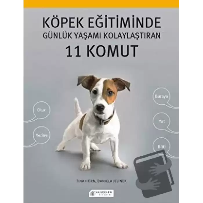 Köpek Eğitiminde Günlük Yaşamı Kolaylaştıran 11 Komut