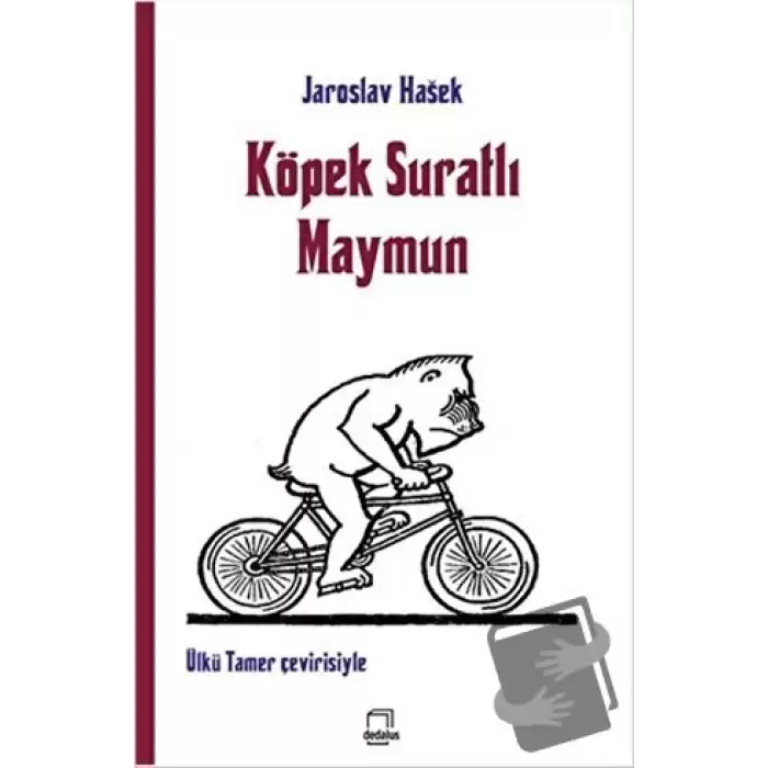 Köpek Suratlı Maymun