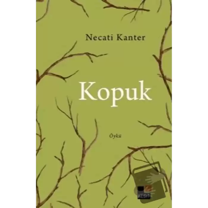 Kopuk