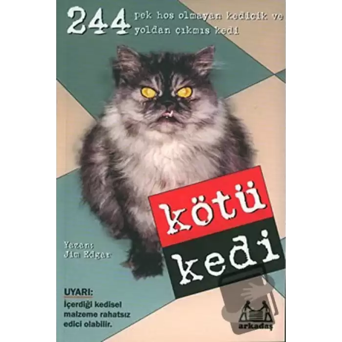 Kötü Kedi