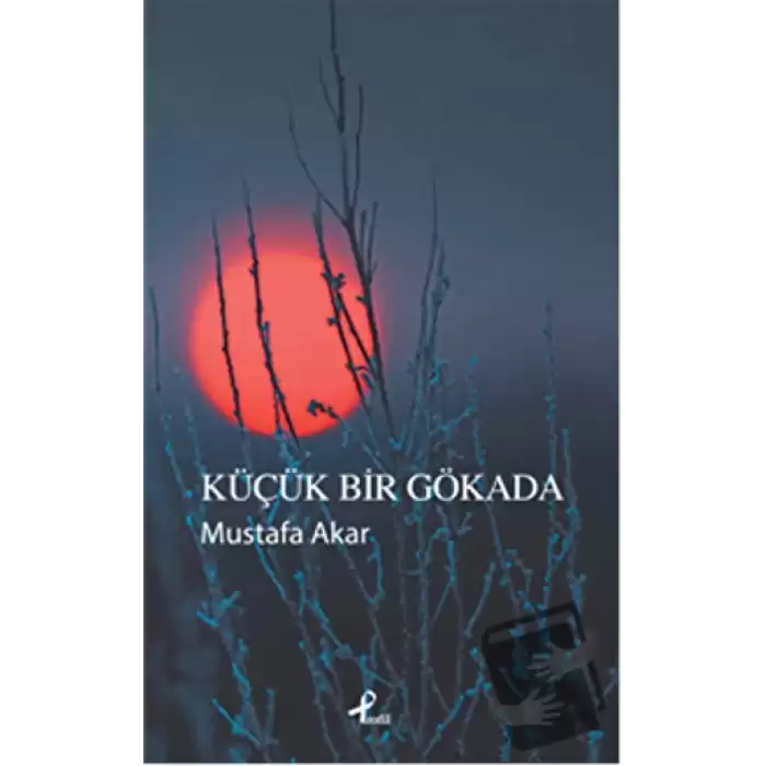 Küçük Bir Gökada