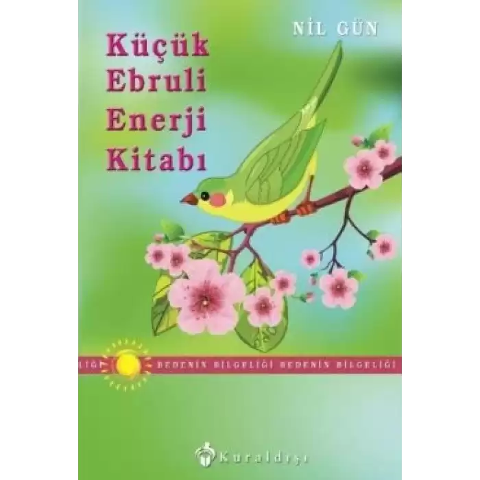 Küçük Ebruli Enerji Kitabı