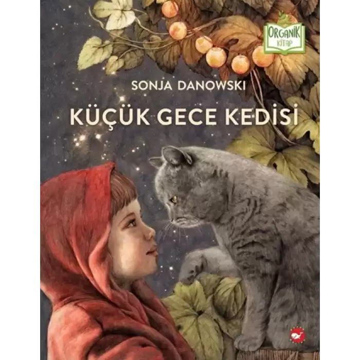 Küçük Gece Kedisi (Ciltli)