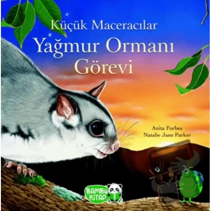 Küçük Maceracılar Yağmur Ormanı Görevi