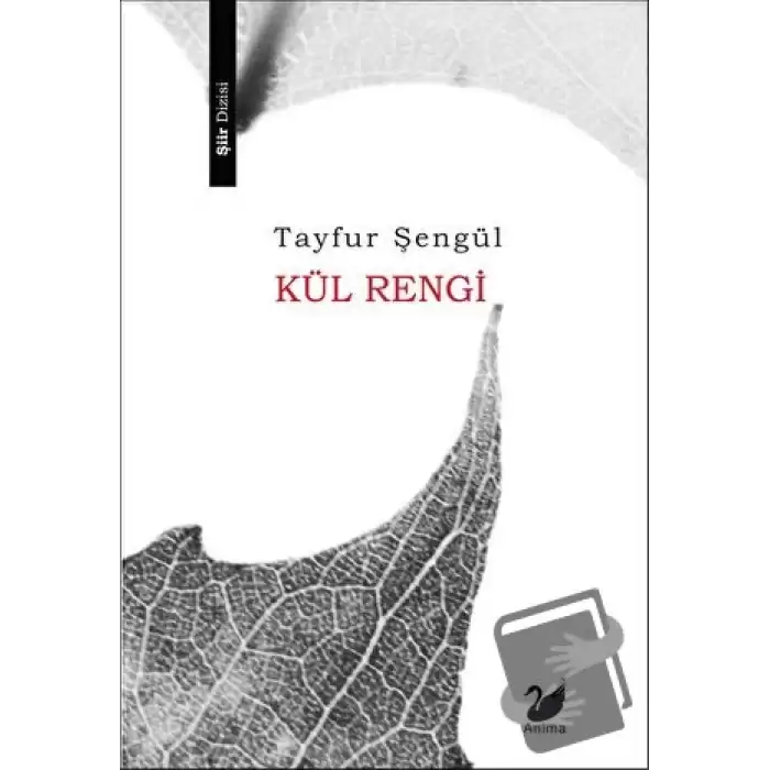 Kül Rengi