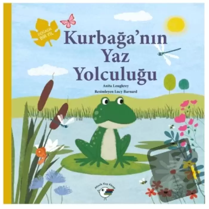 Kurbağa’nın Yaz Yolculuğu – Doğada Bir Yıl