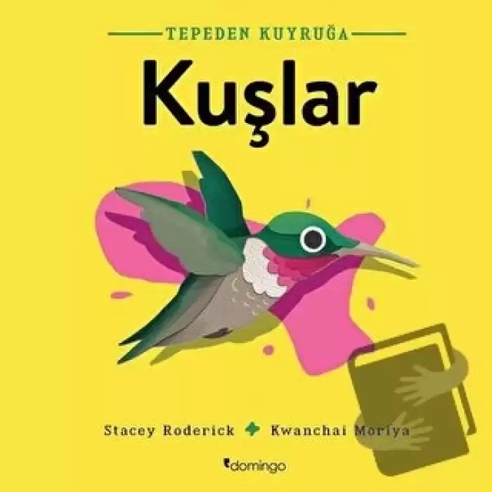 Kuşlar - Tepeden Kuyruğa