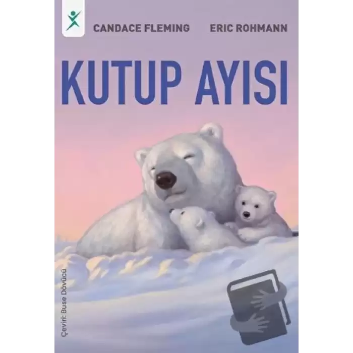 Kutup Ayısı